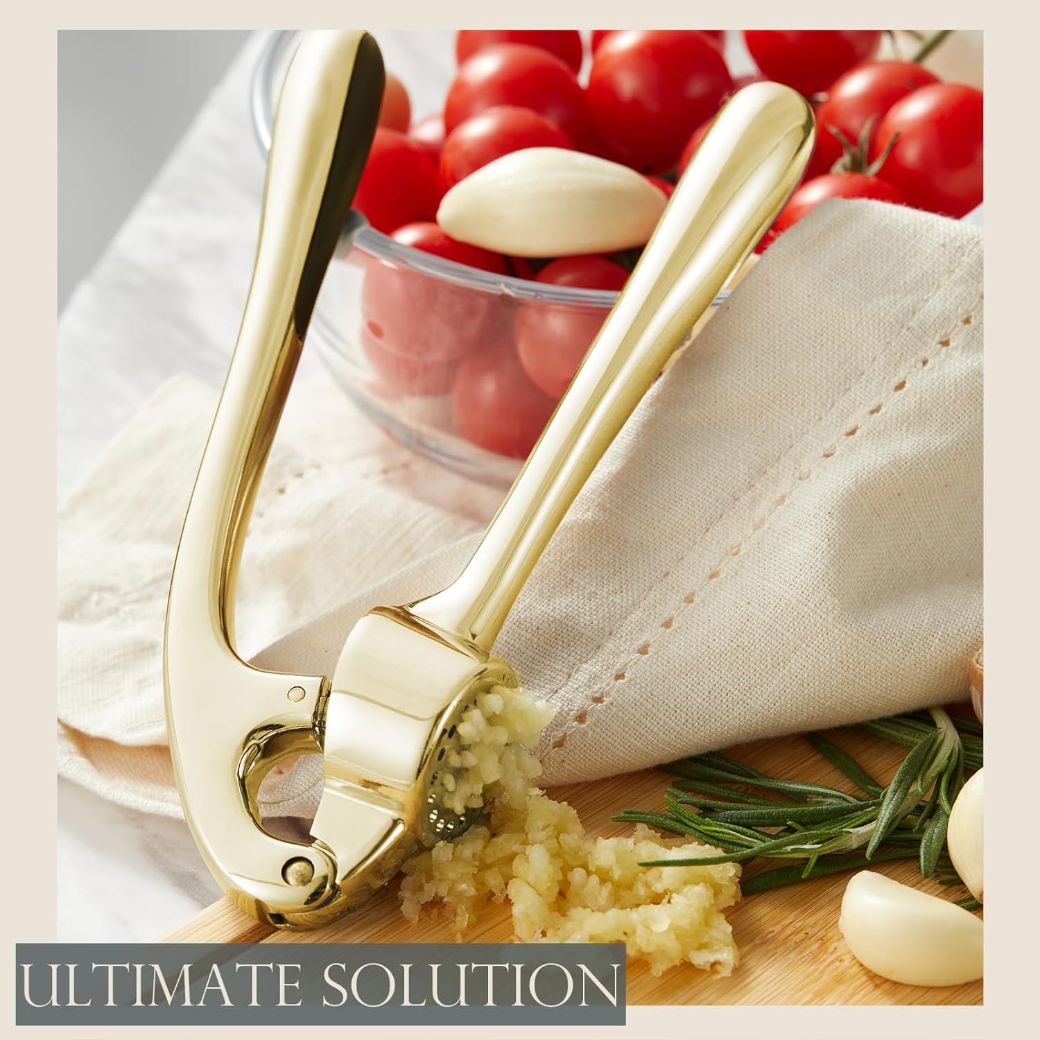 Garlic Press With Studs, Garlic Mincer, Ginger Crusher, Garlic Crusher