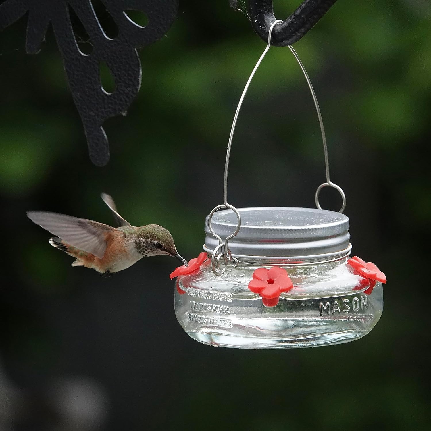 Mason Jar Hummingbird Dish Feeder, Birds Product, Birds Feed Dish - 4