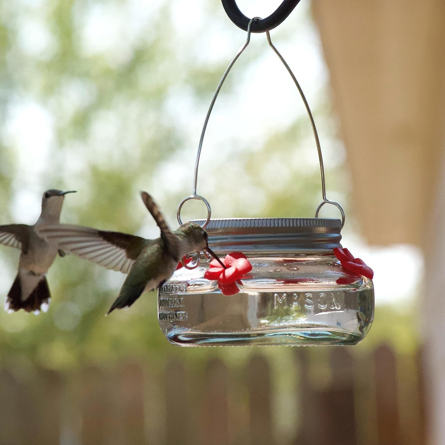 Mason Jar Hummingbird Dish Feeder, Birds Product, Birds Feed Dish - 4